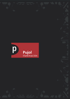 pujol-2011.pdf (28 MB)